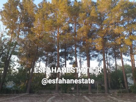 فروش باغ ویلا 4768 متری در خاتون آباد خوراسگان اصفهان