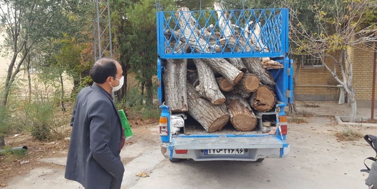 قاچاق چوب در خراسان جنوبی