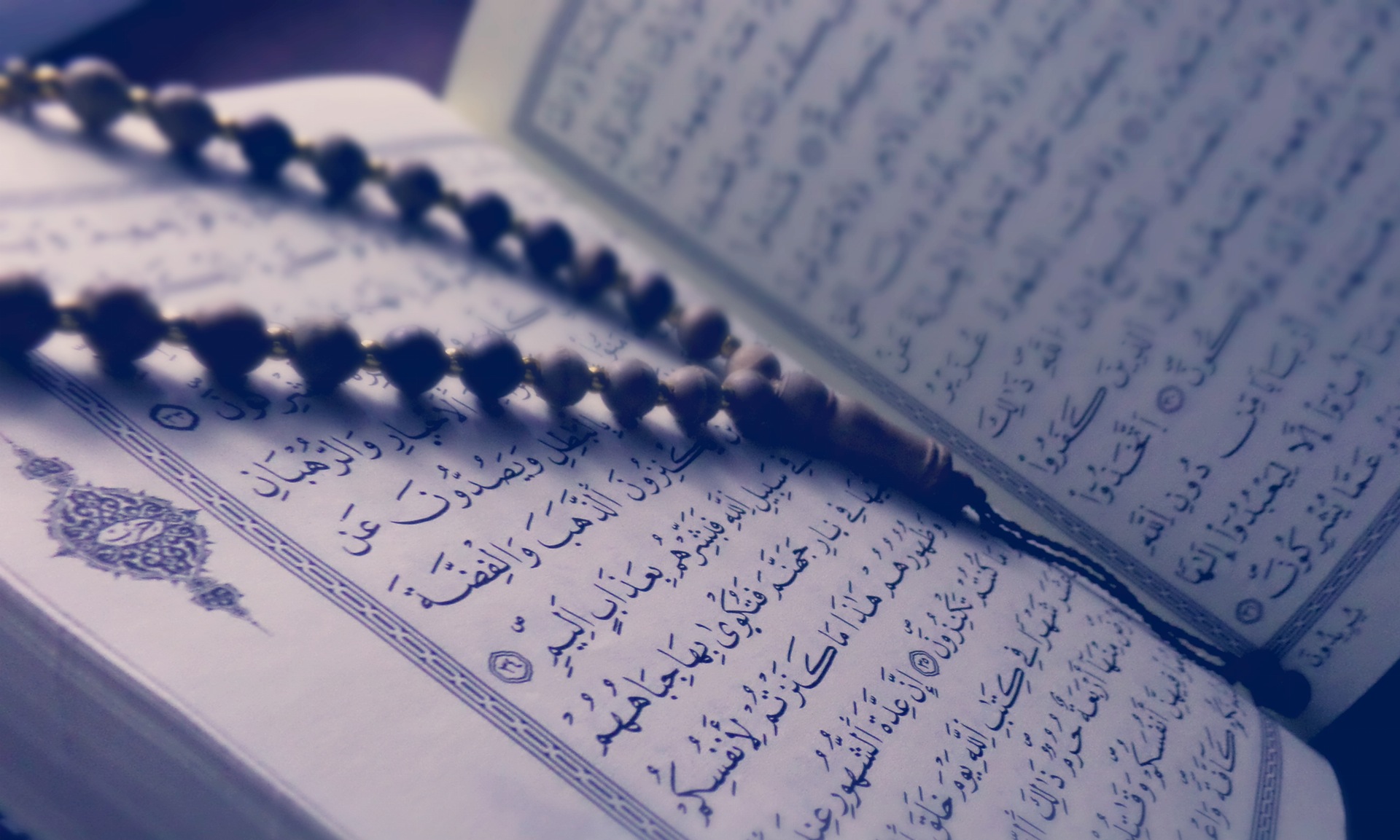 شناسنامه ی قرآن