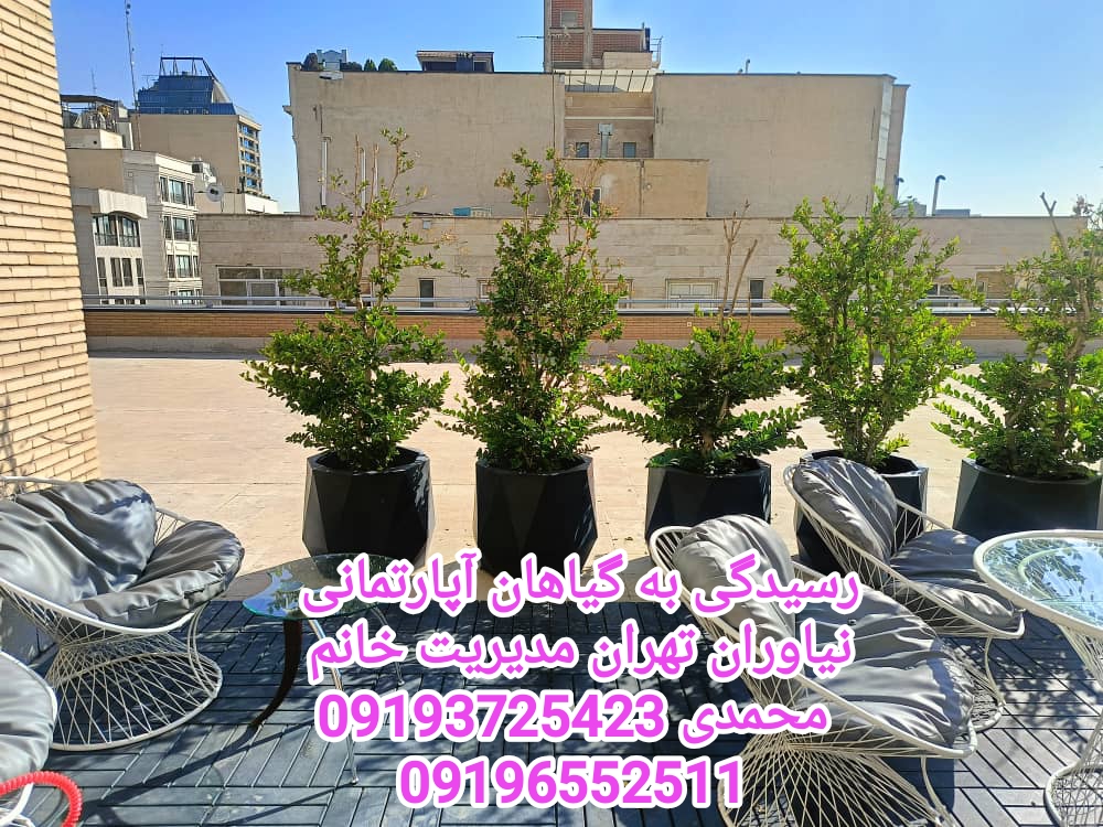 خدمات باغبانی گلکاری تعویض خاک گلدان هرس کار اختیاریه تهران مدیریت خانم محمدی 09196552511