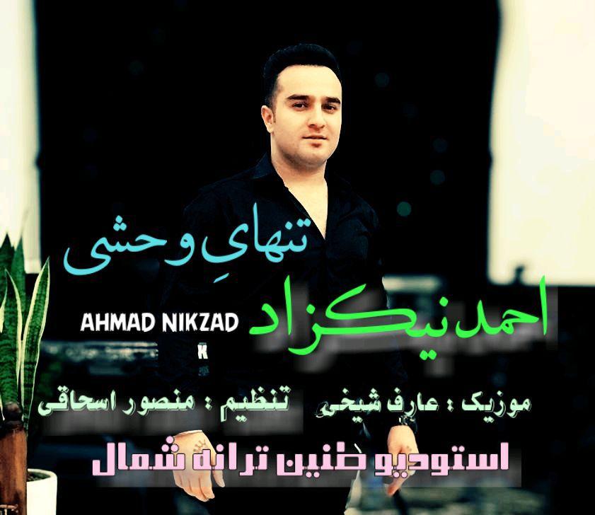 آهنگ تنهای وحشی با صدای احمد نیکزاد