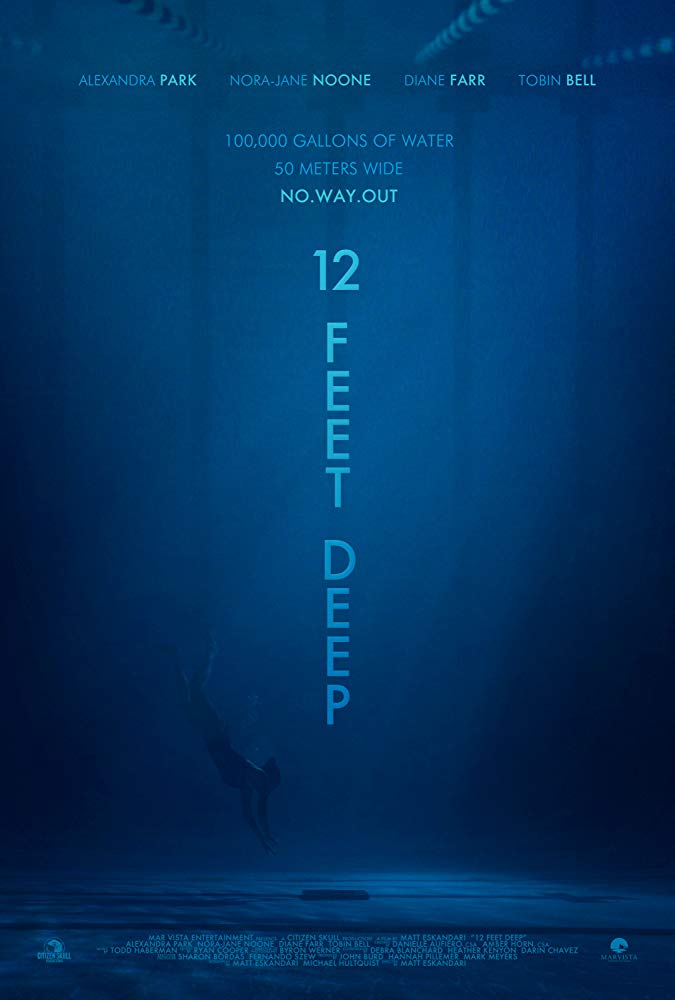 دانلود زیرنویس فارسی فیلم Twelve Feet Deep 2017