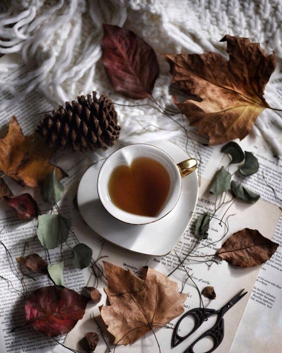 عکس فنجان چای در طبیعت پاییز برای استوری اینستاگرام