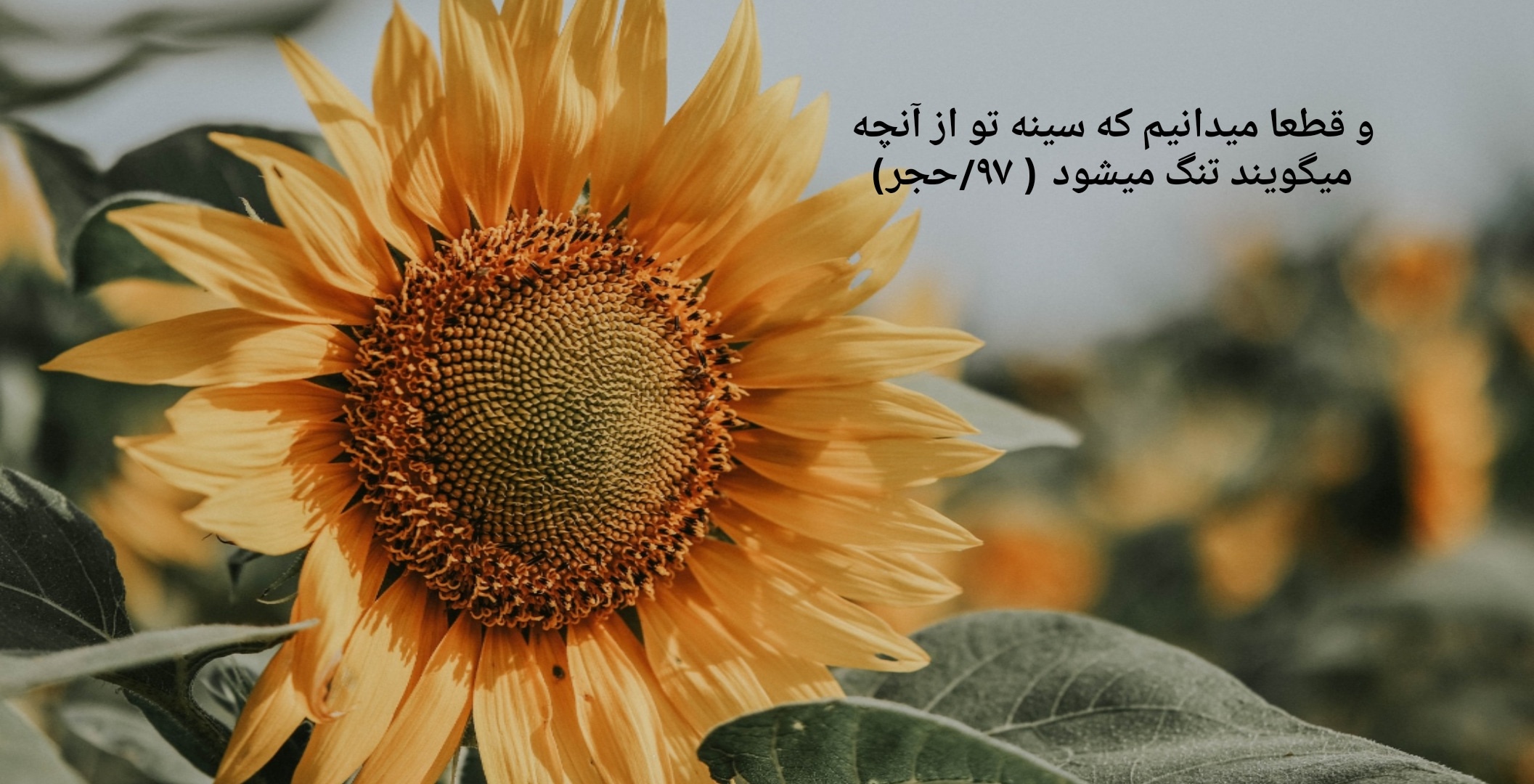 با خدا پادشاهی کن