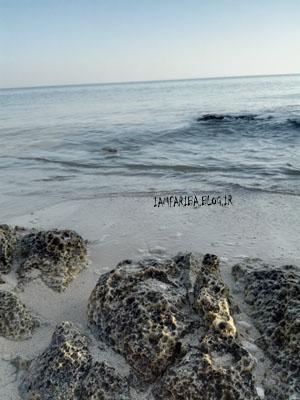 تصویر ساحل مرجانی خلیج فارس