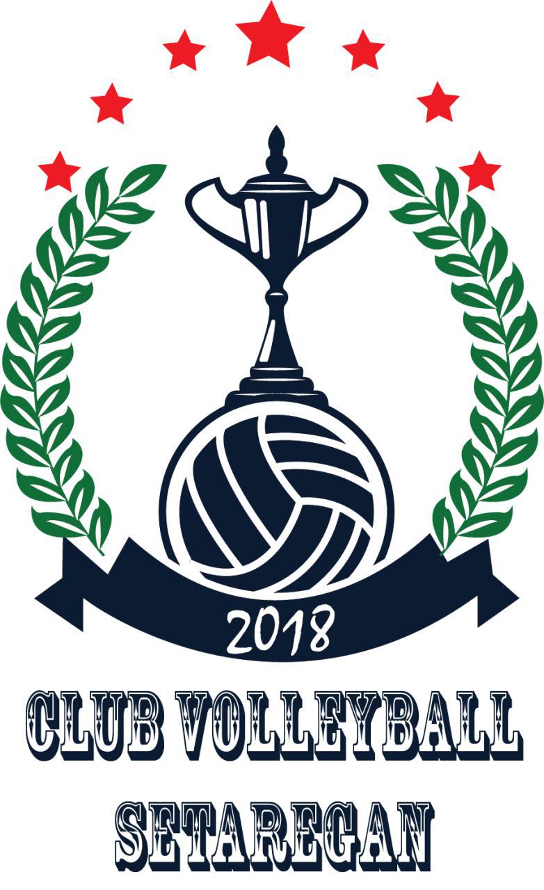 طراحی لوگو برای یک باشگاه والیبال