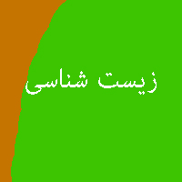 نمونه سوال پاسخ تمرین کتاب زیست شناسی پیش ی 1