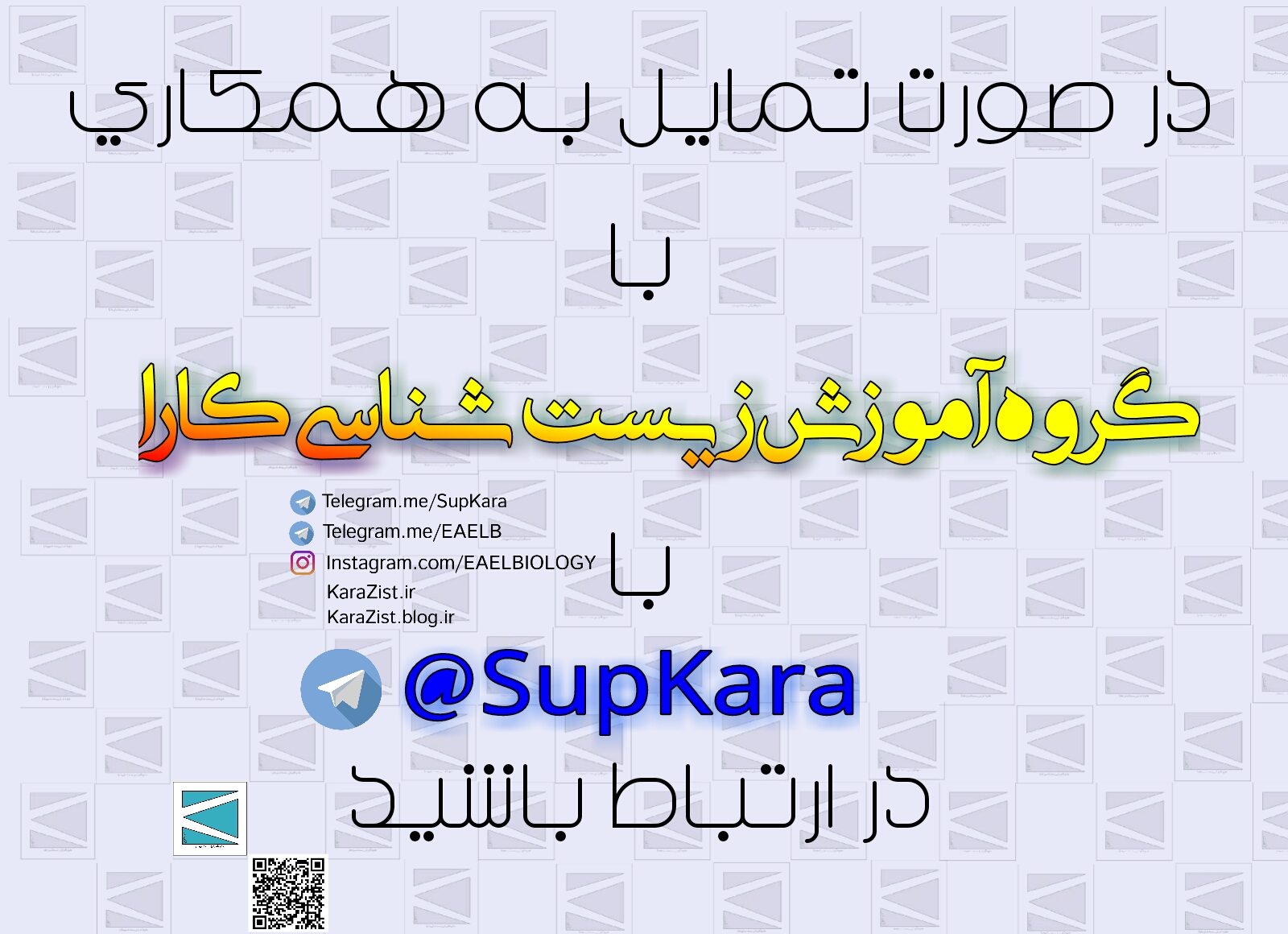 گروه کارا گروه کارا