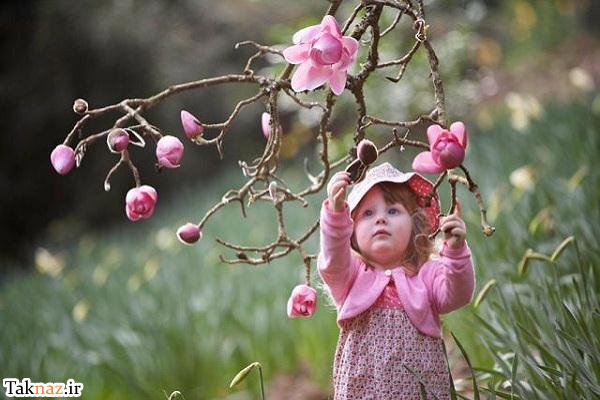 . ع شکوفه های بهاری