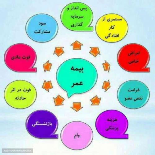 بیمه عمر و سرمایه گذاری