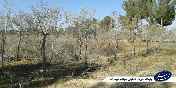 راهکاری برای رفع مشکل آلودگی هوا در منطقه برخوار و کلان شهر اصفهان