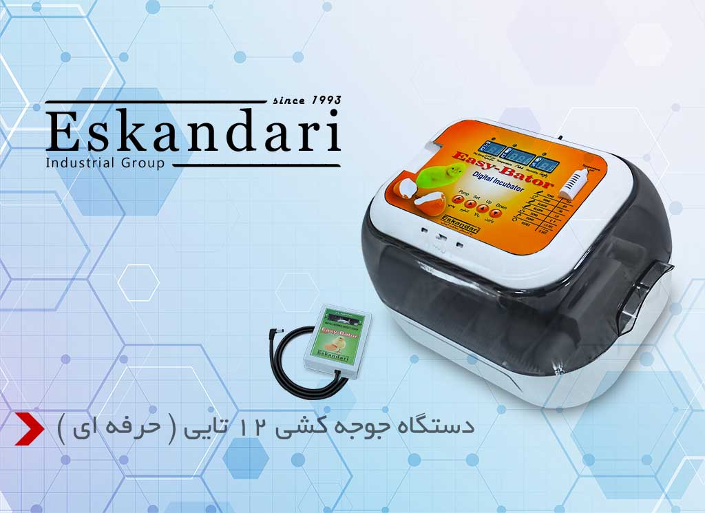 دستگاه جوجه کشی حرفه ای دستگاه جوجه کشی حرفه ای