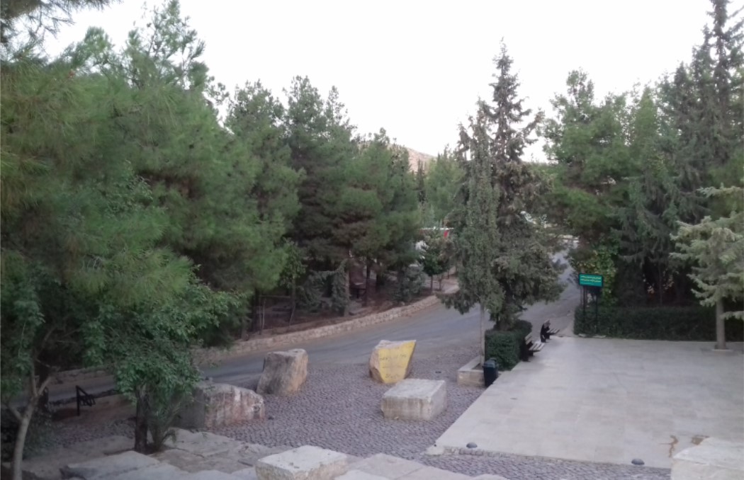 پارک جنگلی مرتصی علی شیراز