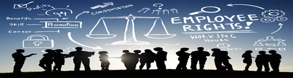 وکیل ملکی و حقوقی