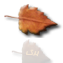 فال برگ 25 اردیبهشت الی 3 خرداد - falgir.blog.ir