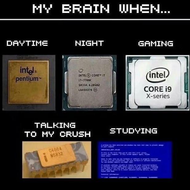 MY Brain