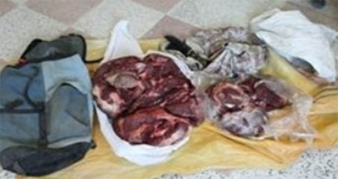 ماجرای گوشت خرس در قصابی های تهران