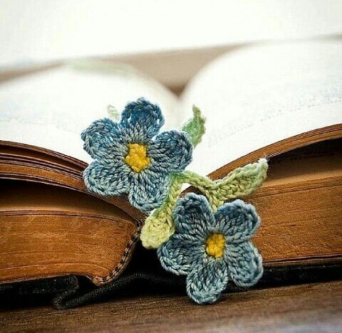 گل آبی و کتاب