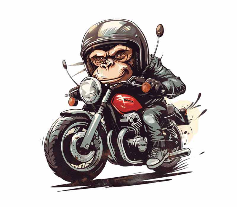 میمون موتوری