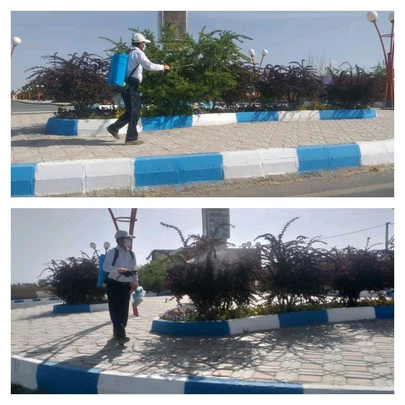 سم پاشی فضای سبز و درختچه های سطح شهر توسط پرسنل زحمت کش شهرداری