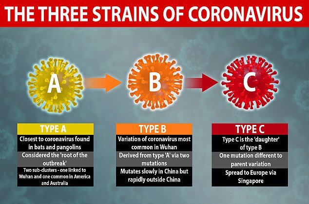 ۳ گونه‌ مختلف ویروس کرونا شناسایی شد