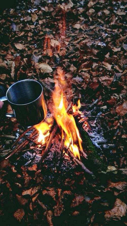 عکس فنجان چای و آتش در پاییز برای پروفایل