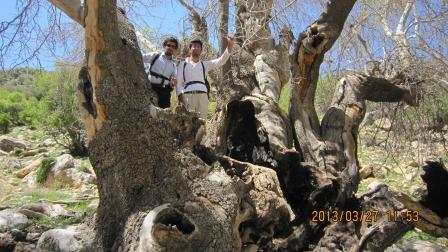 گروه گردشگری و کوهنوردی باچان توریسم