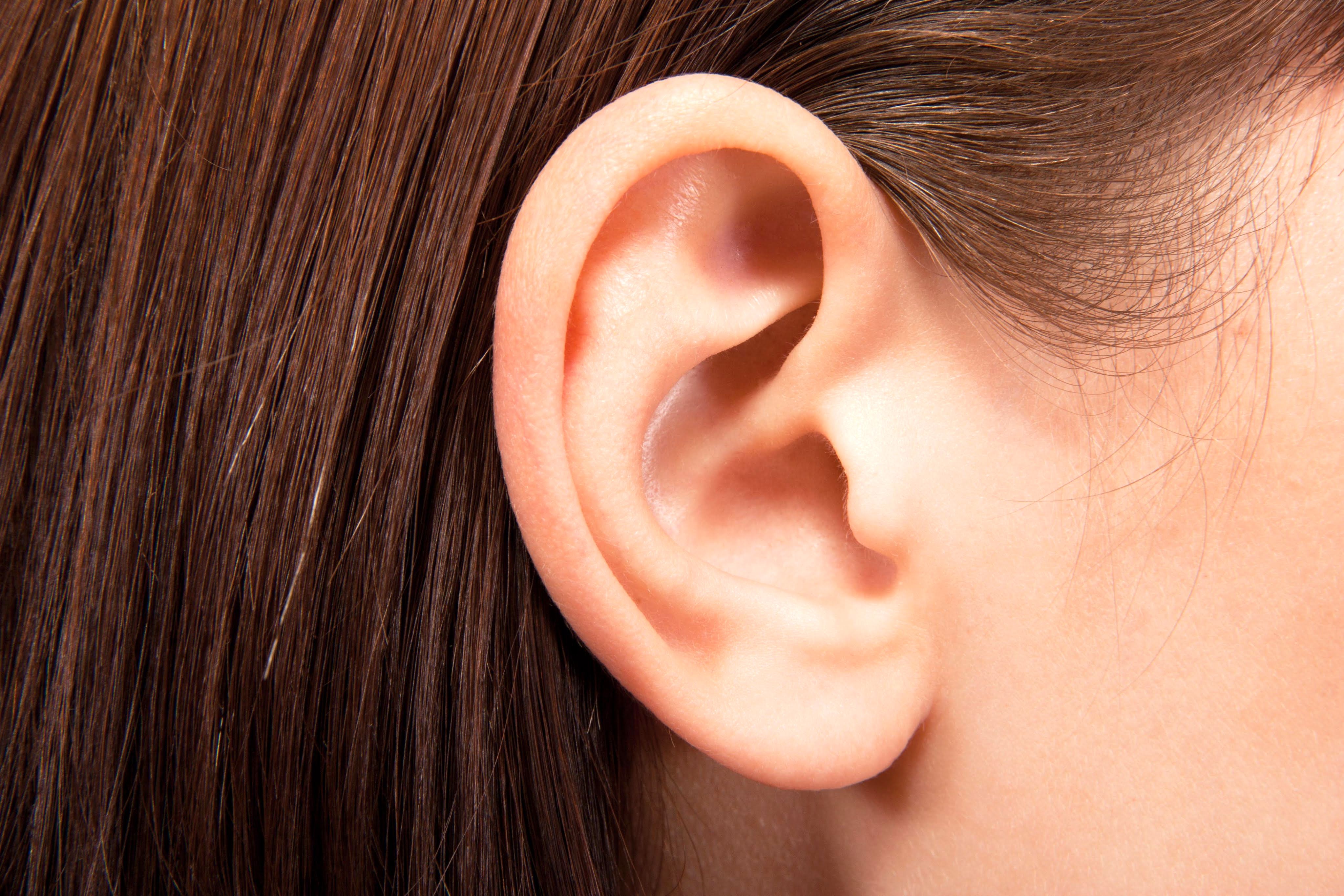 سیستم شنوایی و طریقه محافظت از آن