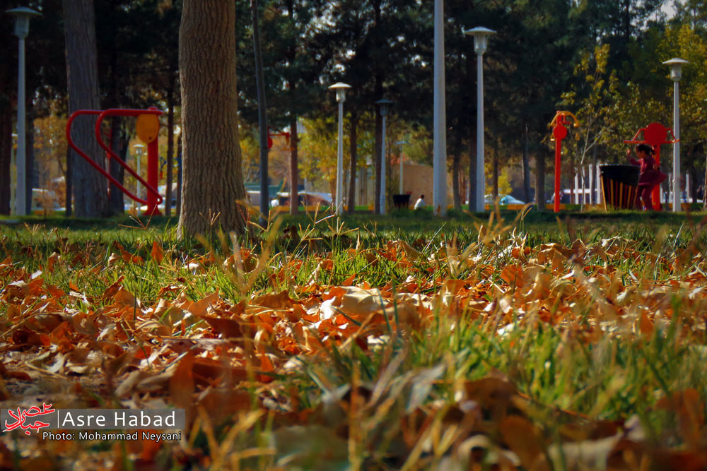 تصاویر | به رنگ پاییز در حبیب آباد