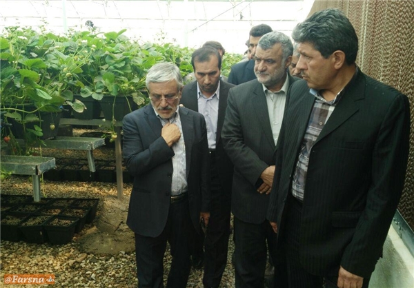 بازدید وزیر جهاد از گلخانه آبسرد