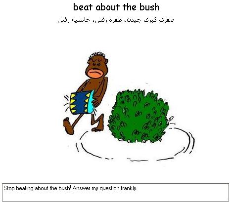 Bringing back the bush image