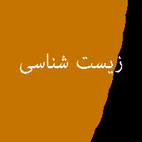 نمونه سوال پاسخ تمرین کتاب زیست شناسی پیش ی 2