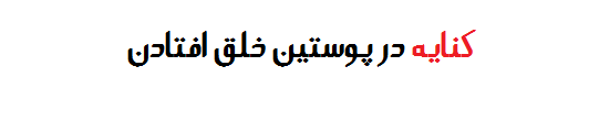 کنایه در پوستین خلق افتادن  