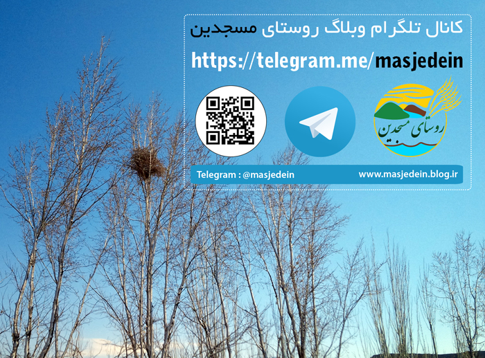 تلگرام روستای مسجدین
