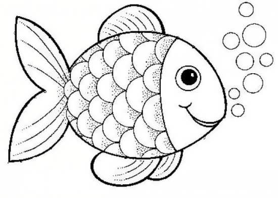 ماهی شناسی سیاسی