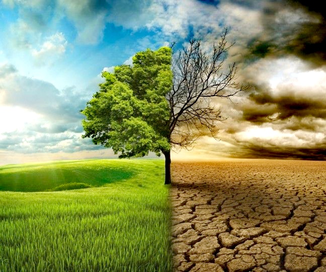 تغییر اقلیم و تاثیر آن بر کشاورزی
