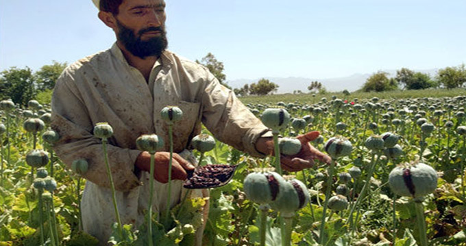 جابه‌جایی 30 درصد مواد مخدر افغانستان از ایران