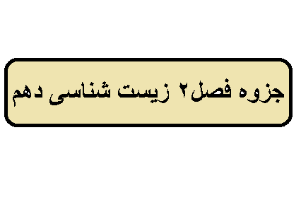 جزوه فصل2 زیست شناسی دهم