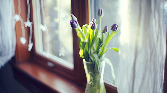 flowers-tulips-leaves-vase