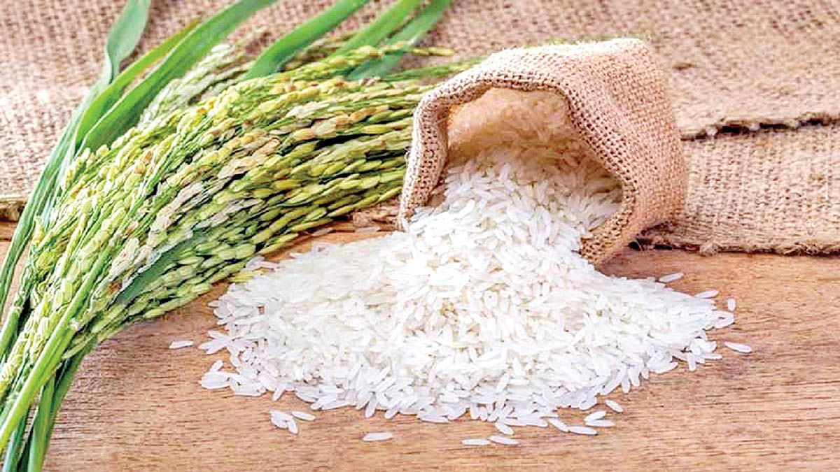فواید مصرف برنج