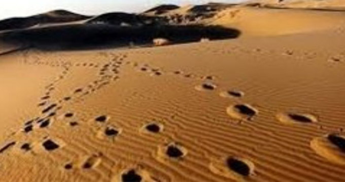 جزئیات مفقودشدن ۳ گردشگر در کویر مرنجاب