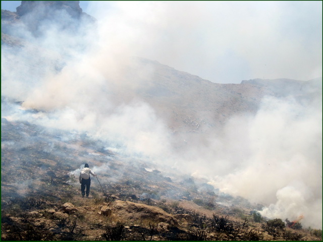 سریال تکراری آتش سوزی مراتع و ریزگردهای کشور همسایه