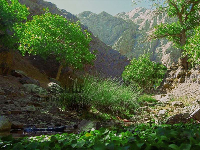 طبیعت زیبای سبز رود