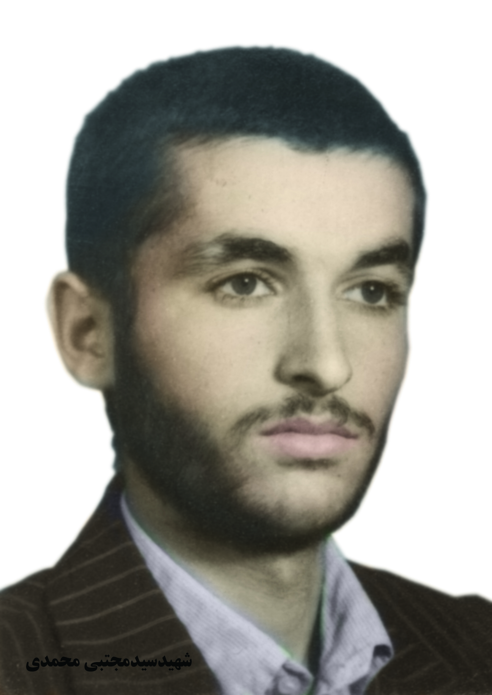 شهید سیدمجتبی محمدی