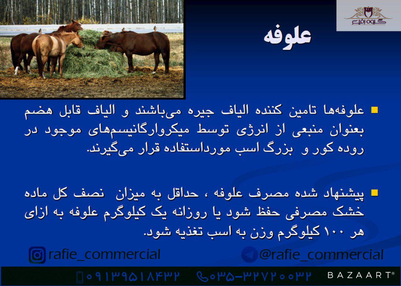 فروش علوفه دام و اسب یونجه سیفال در یزد