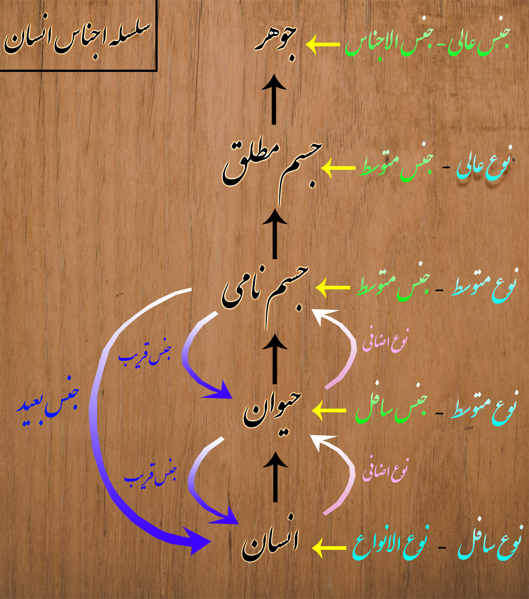 جسم نامی :: حرف ناب