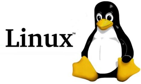 معرفی انواع نسخه های لینوکس