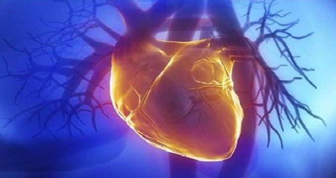 اثرات یک آنتی‌اکسیدان طبیعی بر سلامت قلب و عروق