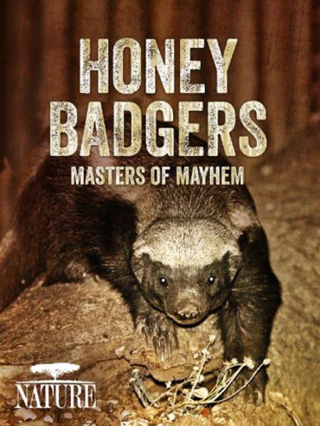 دانلود مستند Honey Badgers Masters of Mayhem 2014 