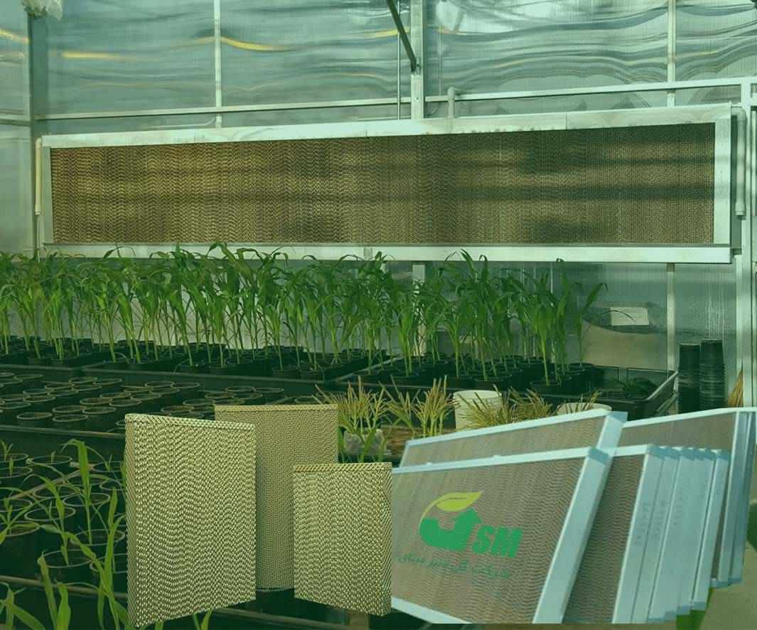 پد سلولزی گلخانه | پد کولان سل